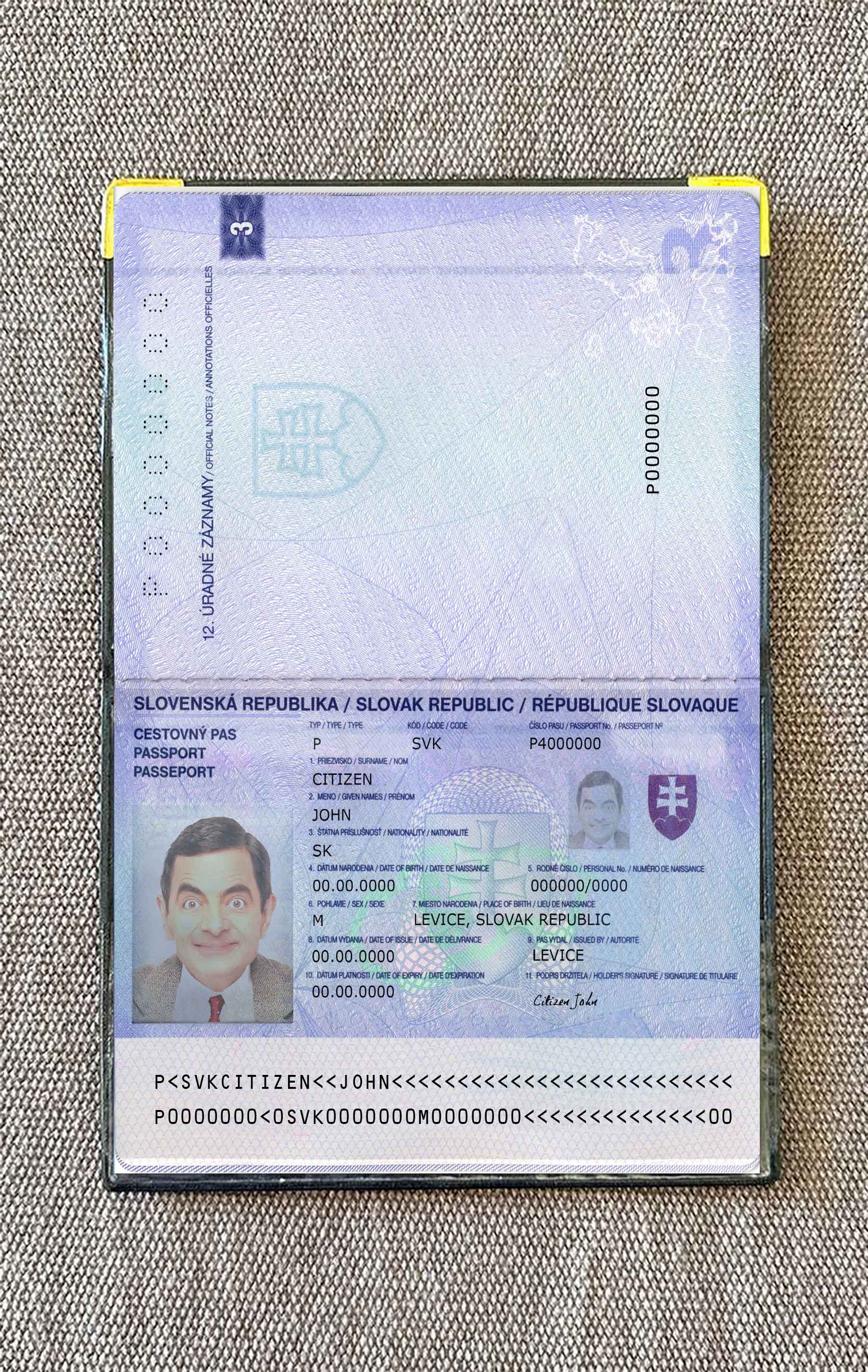 Slovakia passport 2012 photo look PSD template